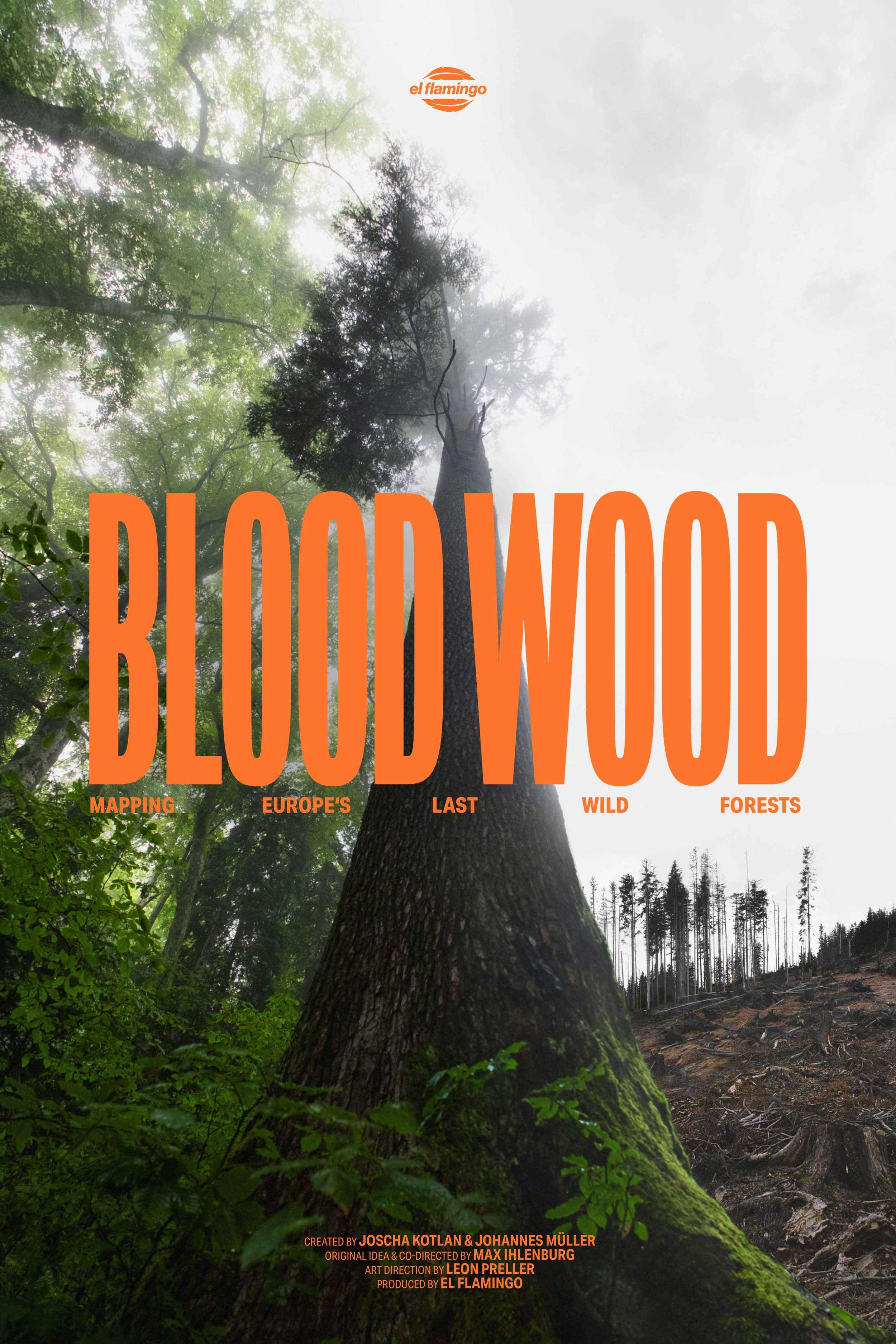 BLOODWOOD – Still