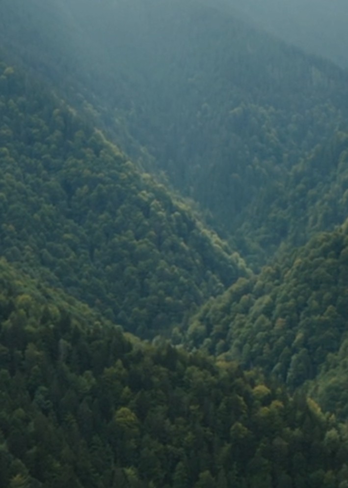 COMING SOON – Still