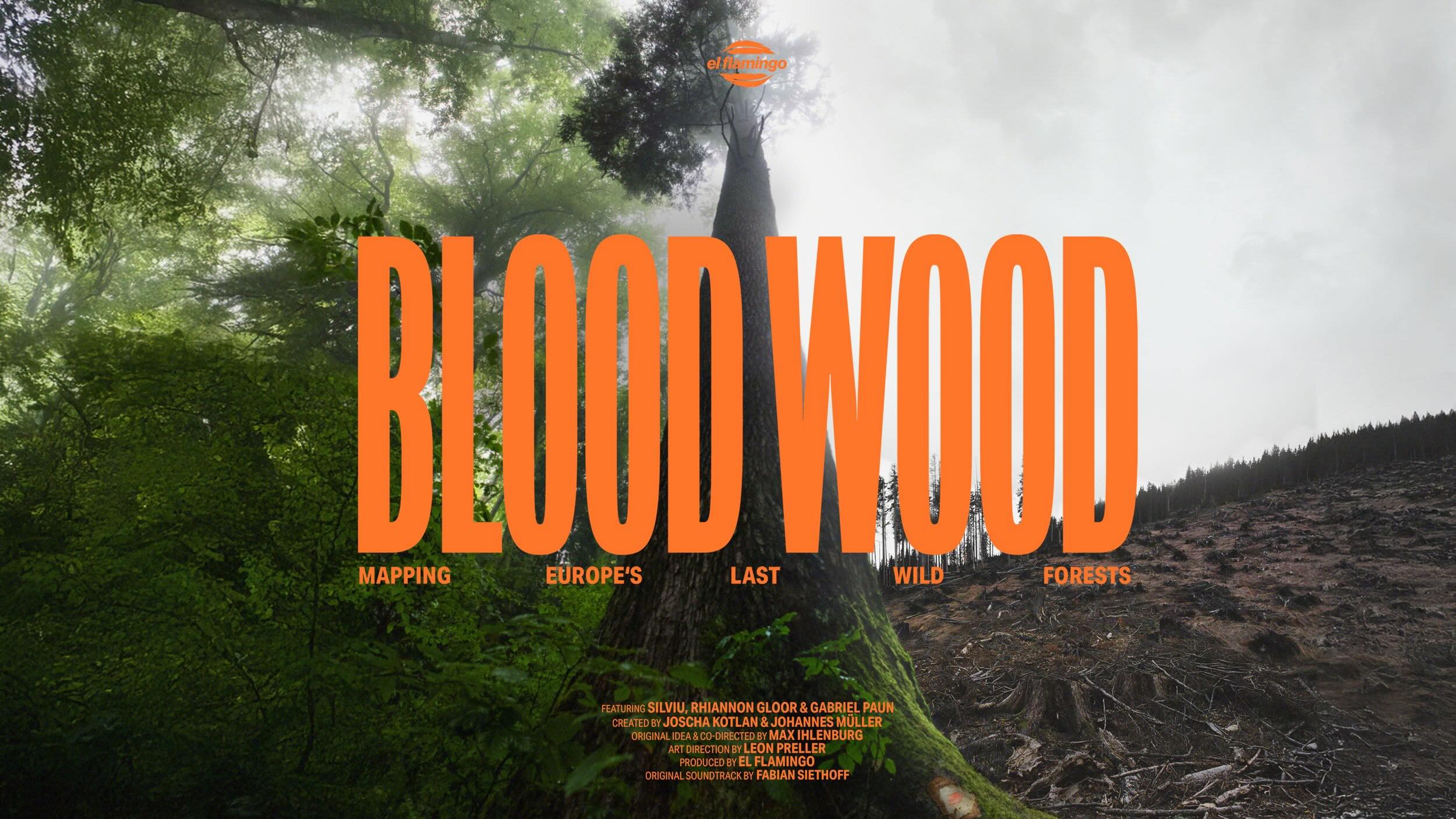 BLOODWOOD – Still