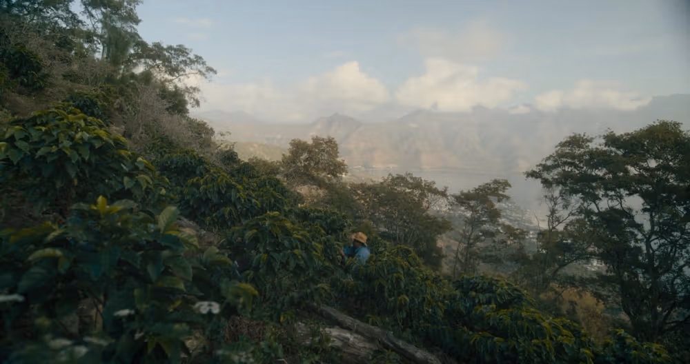 COFFEE FOR LIFE – Still